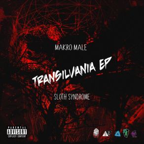 Transilvania (Sloth Syndrome) album cover