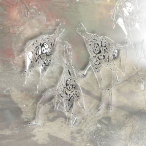 Into One Name album cover