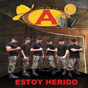 Estoy Herido album cover