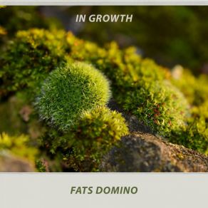 In Growth album cover