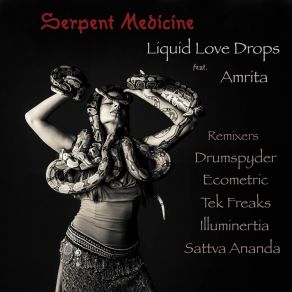 Serpent Medicine album cover