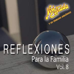 Reflexiones Para La Familia, Vol. 8 album cover