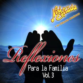 Reflexiones Para La Familia, Vol. 3 album cover