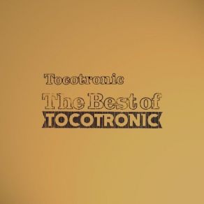 The Best Of Tocotronic album cover