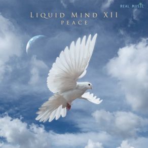 Liquid MInd XII: Peace album cover