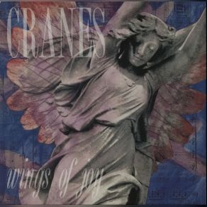Wings Of Joy + Self Non Self album cover