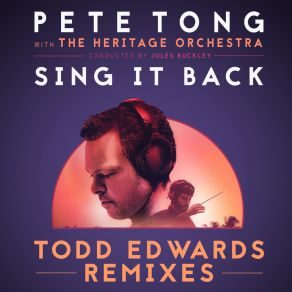 Sing It Back (Todd Edwards Remixes) album cover