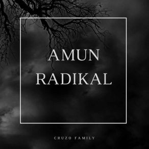 Radikal album cover