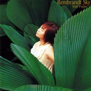 Rembrandt Sky album cover