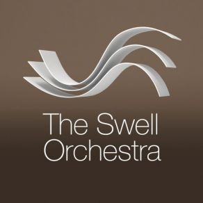 The Swell Orchestra album cover