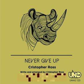 Never Give Up album cover