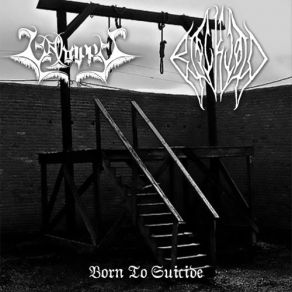 Born To Suicide (Split) album cover