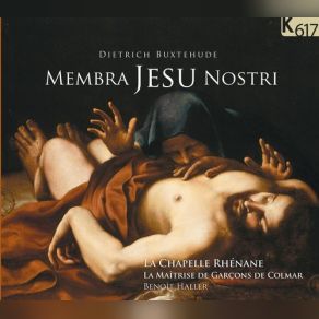 Buxtehude: Membra Jesu Nostri album cover