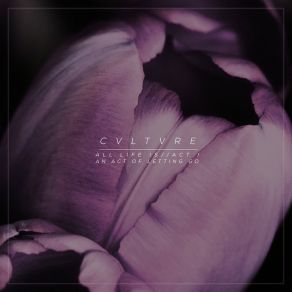 All Life Is / / Act 1: An Act Of Letting Go album cover