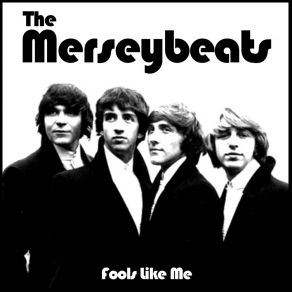 Fools Like Me album cover