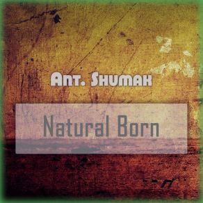Natural Born album cover