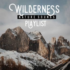 Wilderness Nature Sound Playlist album cover