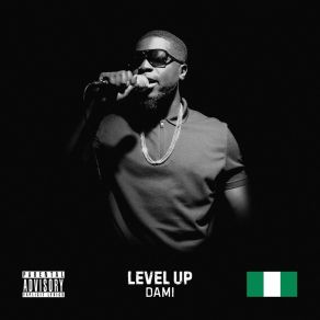Level Up album cover