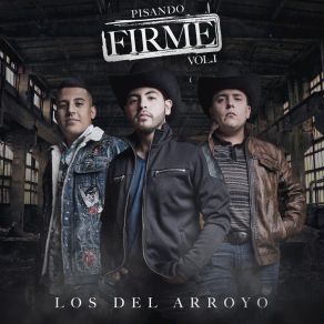 Pisando Firme, Vol. 1 (En Vivo) album cover