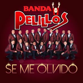 Se Me Olvidó album cover