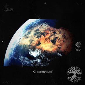 Observe album cover