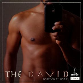 The David: Sculpture Of Sound album cover