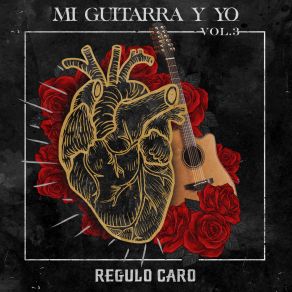 Mi Guitarra Y Yo, Vol. 3 album cover