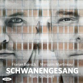 Schubert: Schwanengesang album cover