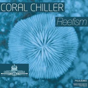 Reefism album cover