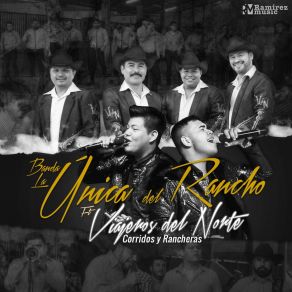 Corridos Y Rancheras album cover