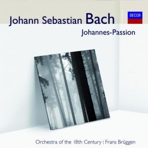 J. S. Bach: Johannes Passion album cover