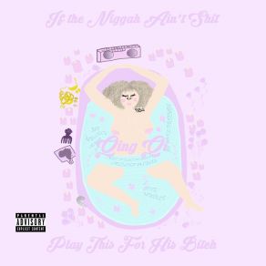 If The Niggah Ain't Shit, Play This For His Bitch album cover