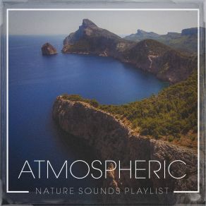 Atmospheric Nature Sounds Playlist album cover