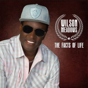 The Facts Of Life album cover