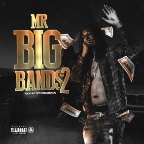 Mr Big Bands2 album cover