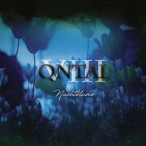 VIII - Nachtblume album cover