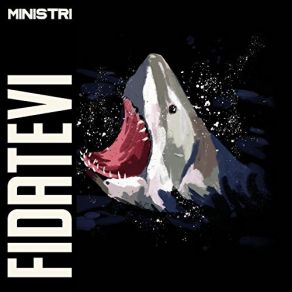 Fidatevi album cover