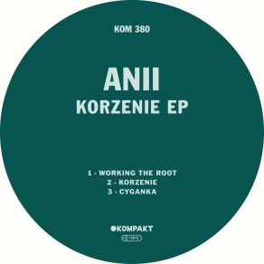 Korzenie album cover