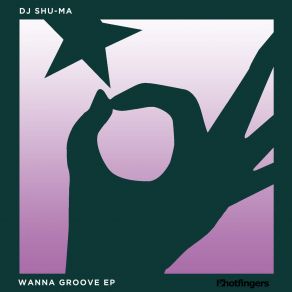 Wanna Groove (Maxi-Single) album cover