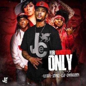 For Gangstas Only 2 album cover