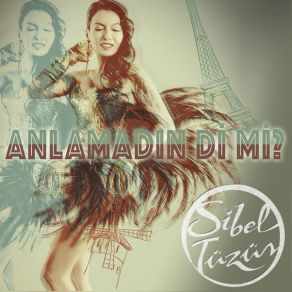 Anlamadın Di Mi (Single) album cover