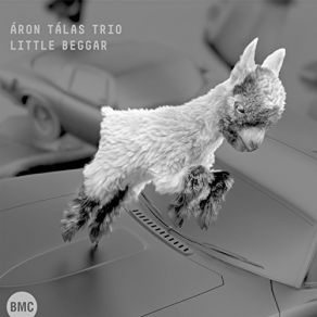 Little Beggar album cover