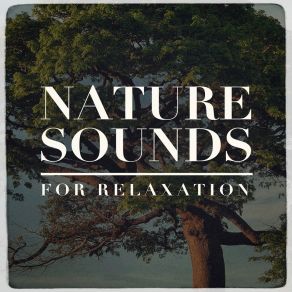 Nature Sounds For Relaxation album cover