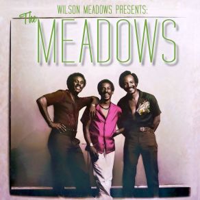 Presents: The Meadows album cover