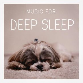 Music For Deep Sle album cover