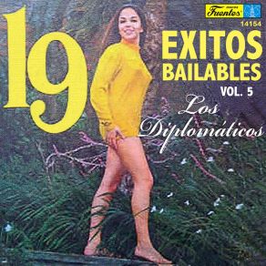 19 Exitos Bailables, Vol. 5 (Instrumental) album cover