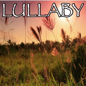 Lullaby - Tribute To Sigala And Paloma Faith album cover