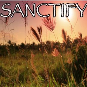 Sanctify - Tribute To Years And Years album cover