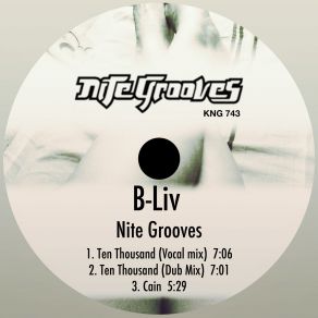 Nite Grooves (Maxi-Single) album cover