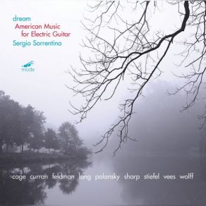 Dream: American Music For Electric Guitar album cover